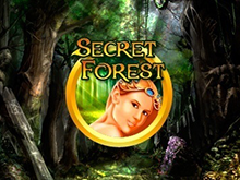 Secret Forest